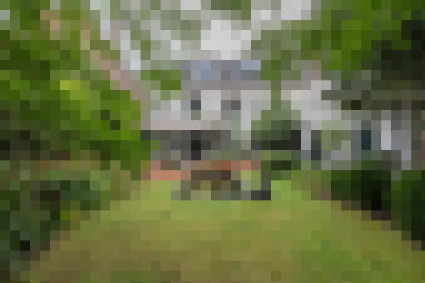 Raadhuisplein 9 Heemstede thumbnail 17