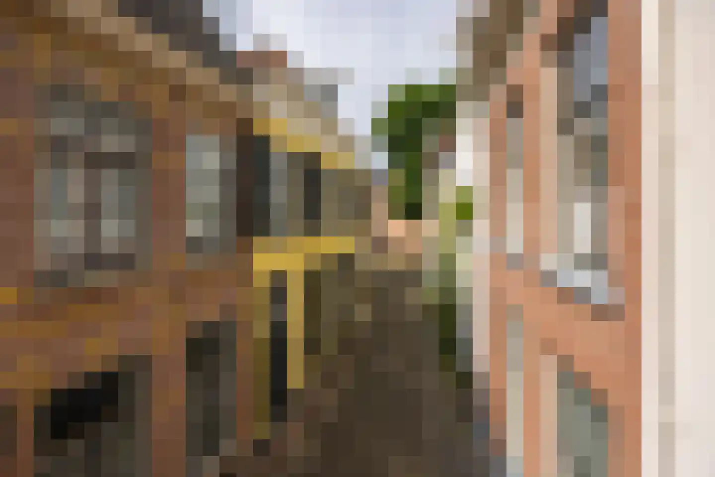 Raadhuissteeg 6 en Zutphen