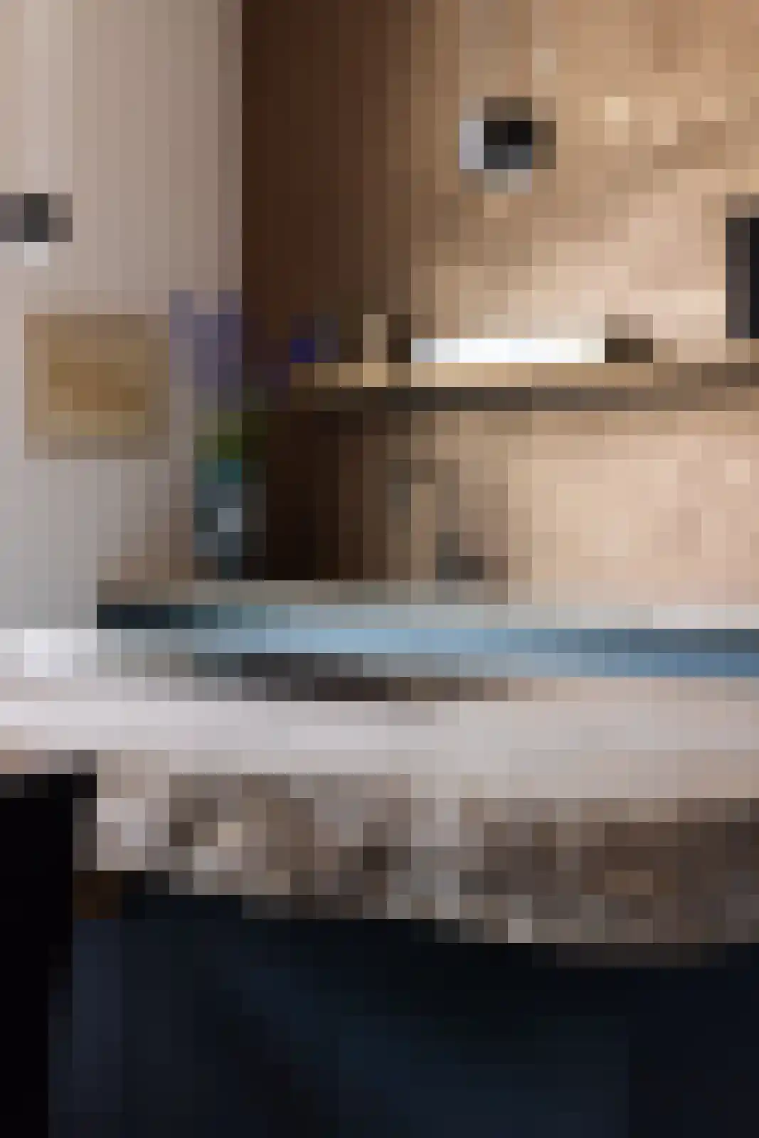 Raadhuissteeg 6 Zutphen thumbnail 13