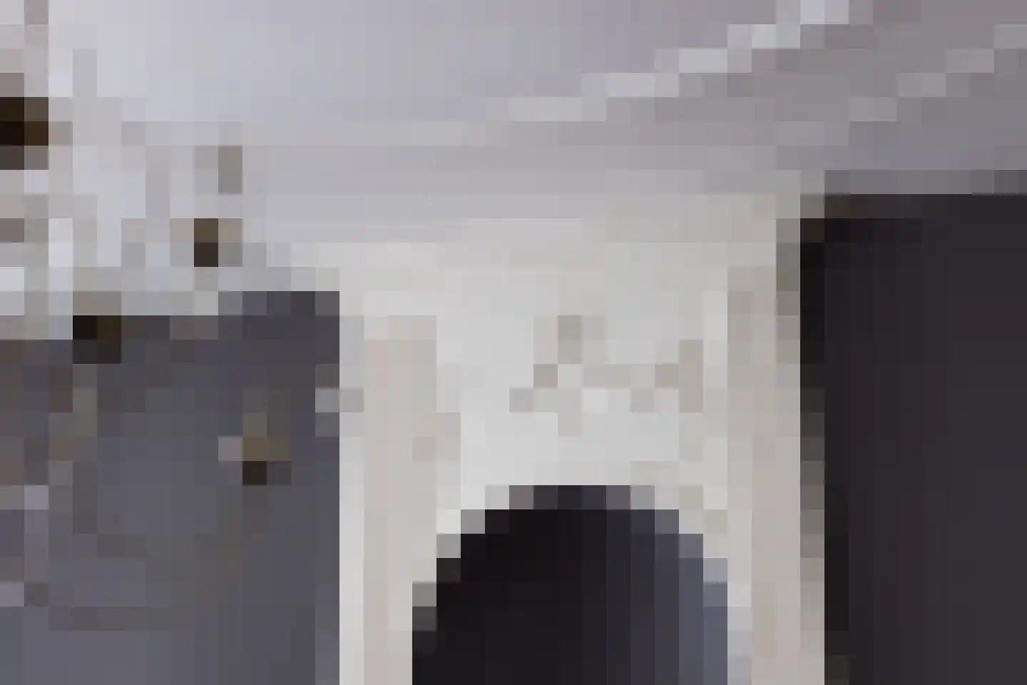 Raadhuissteeg 6 Zutphen thumbnail 16