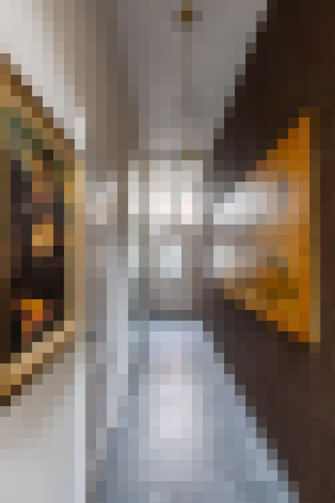 Raadhuissteeg 6 Zutphen thumbnail 19