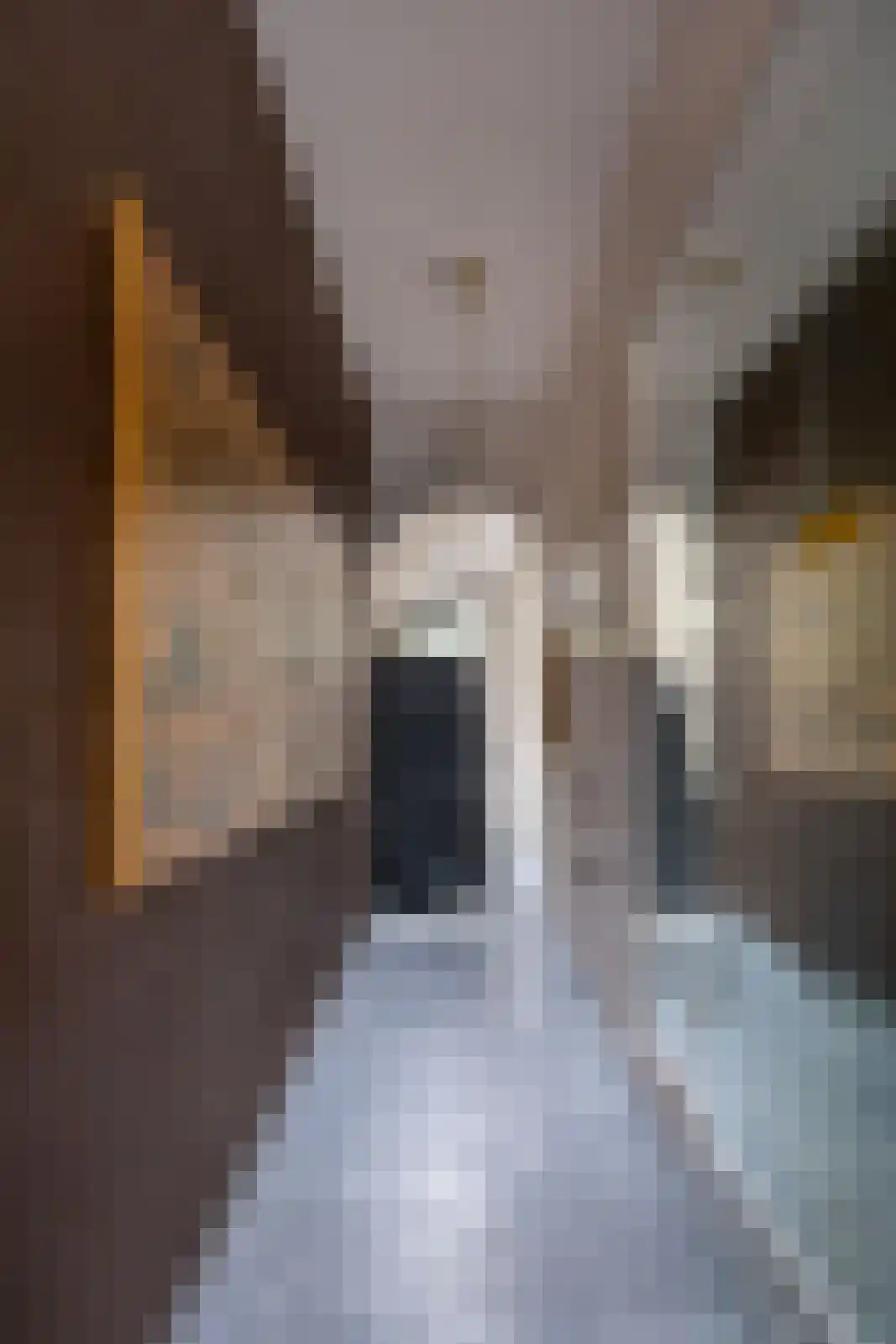 Raadhuissteeg 6 Zutphen thumbnail 20