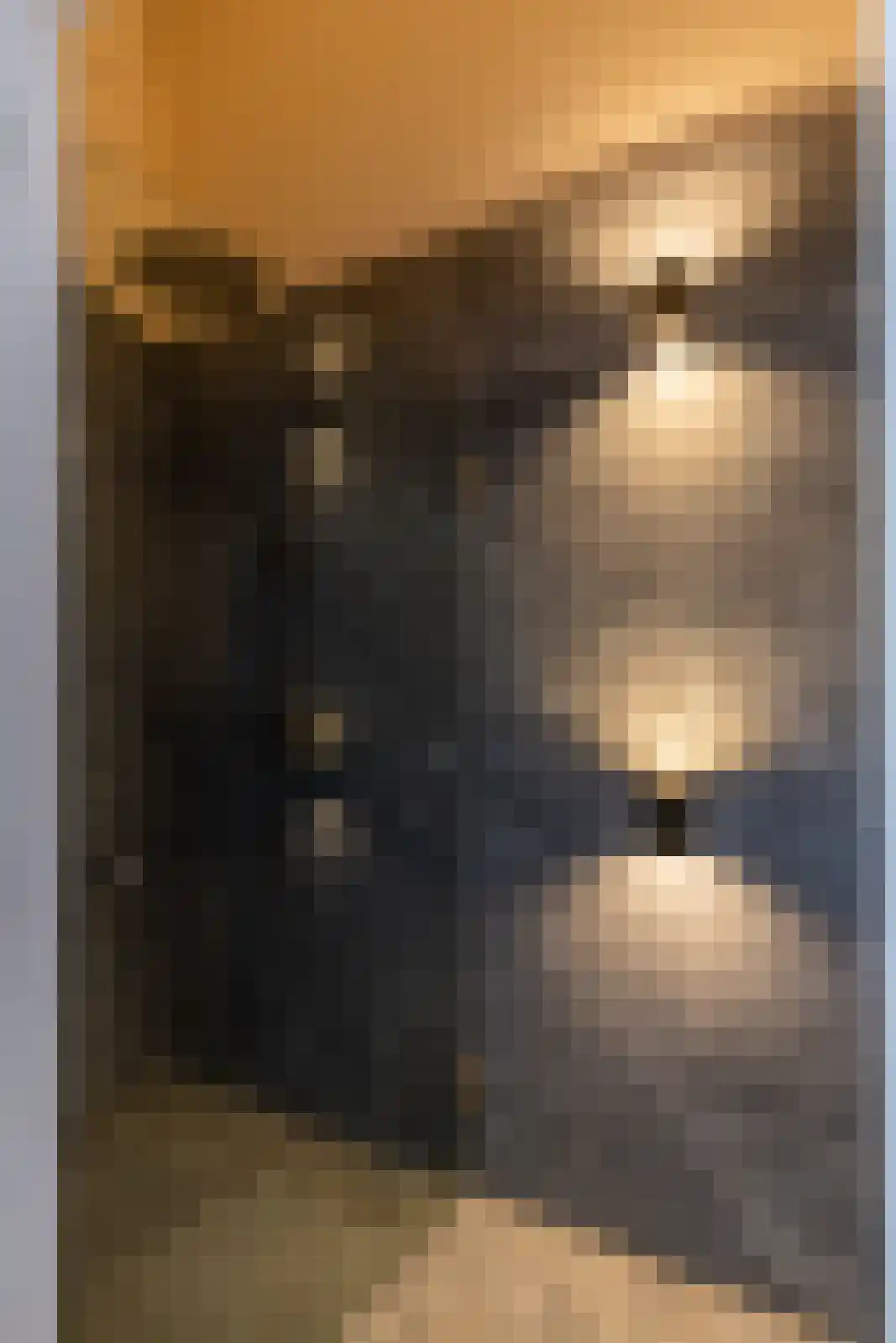 Raadhuissteeg 6 Zutphen thumbnail 23