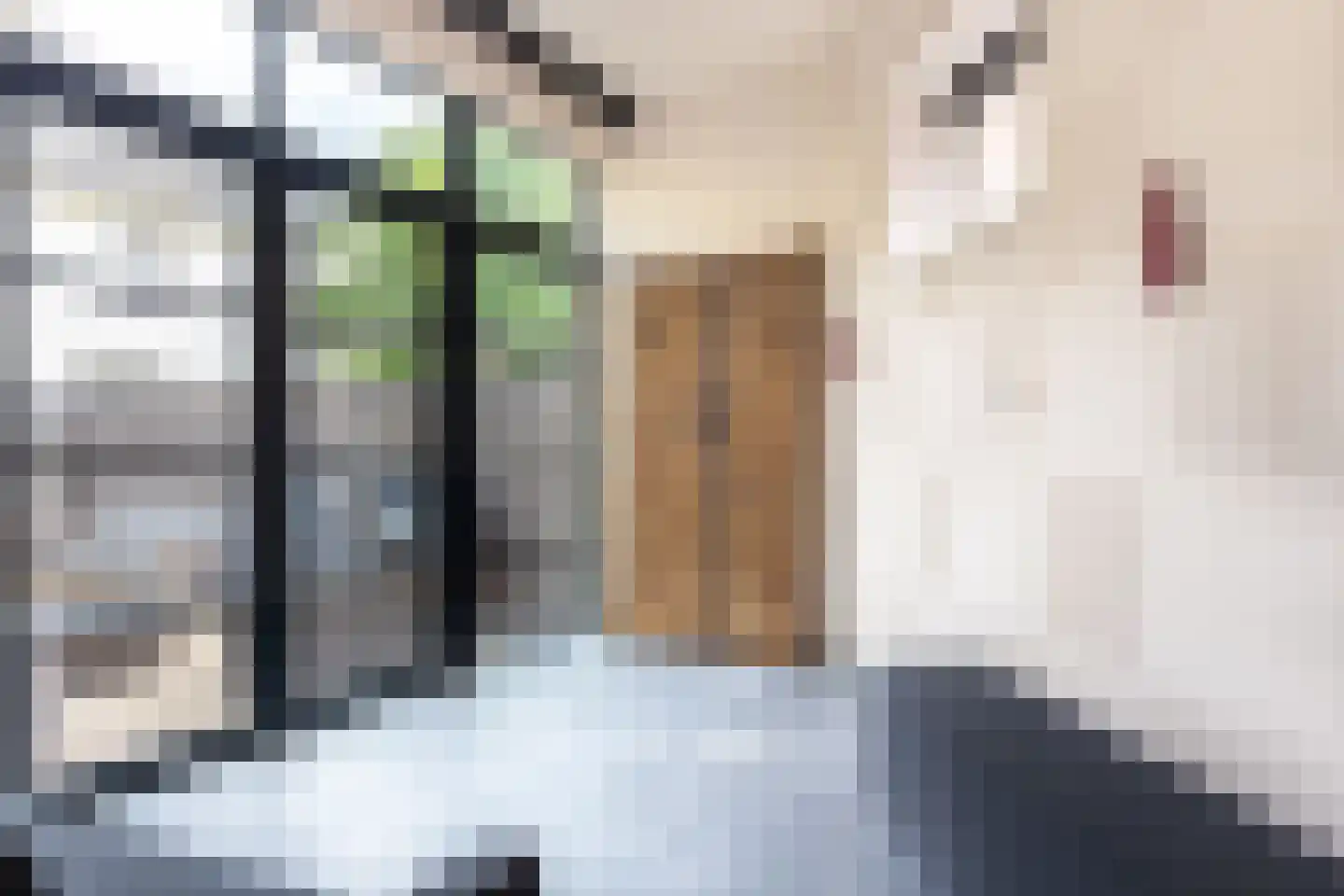 Raadhuissteeg 6 Zutphen thumbnail 27