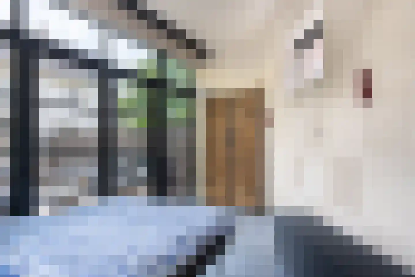 Raadhuissteeg 6 Zutphen thumbnail 28
