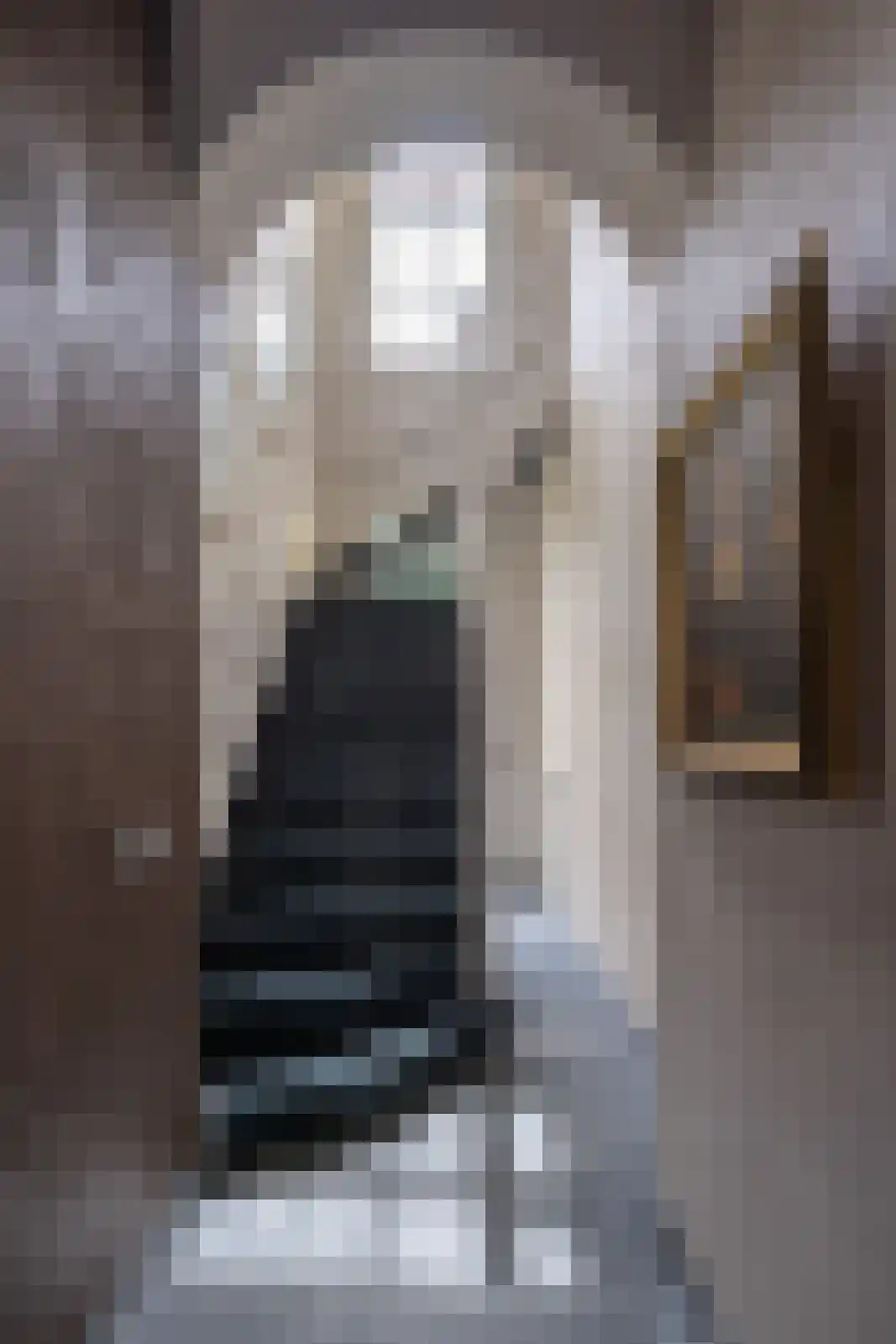 Raadhuissteeg 6 Zutphen thumbnail 29