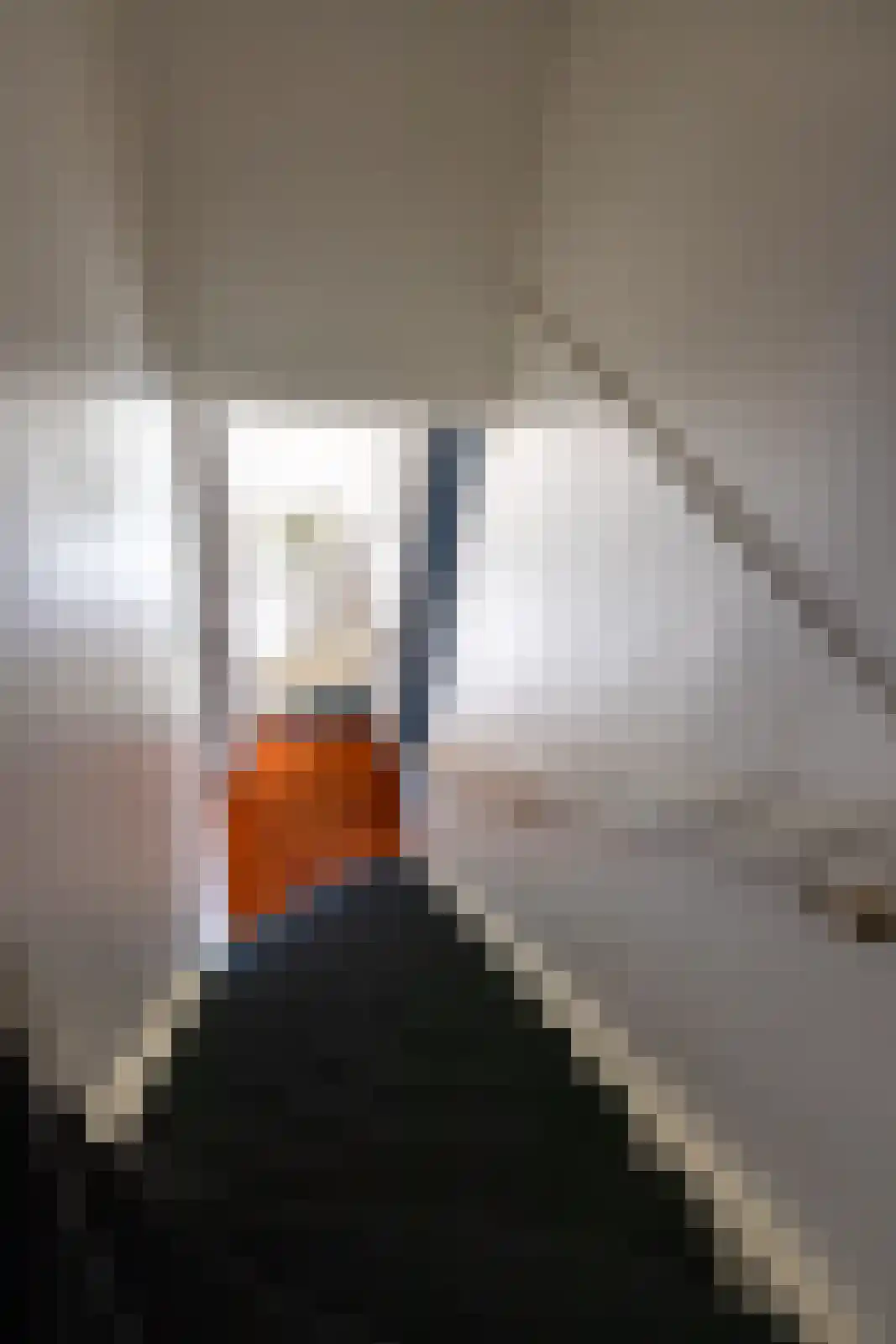 Raadhuissteeg 6 Zutphen thumbnail 43