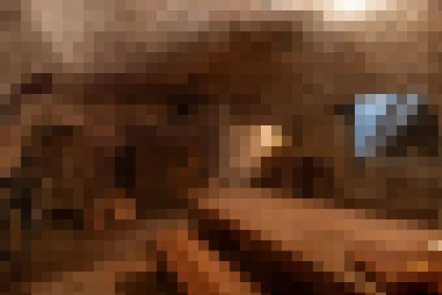 Raadhuissteeg 6 Zutphen thumbnail 48