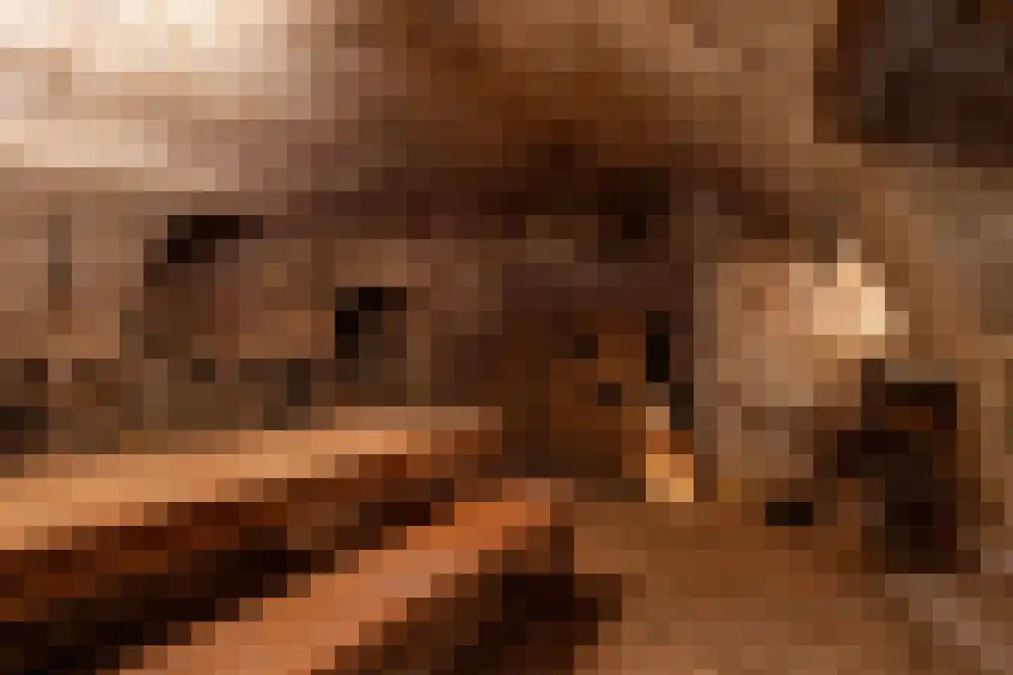 Raadhuissteeg 6 Zutphen thumbnail 49