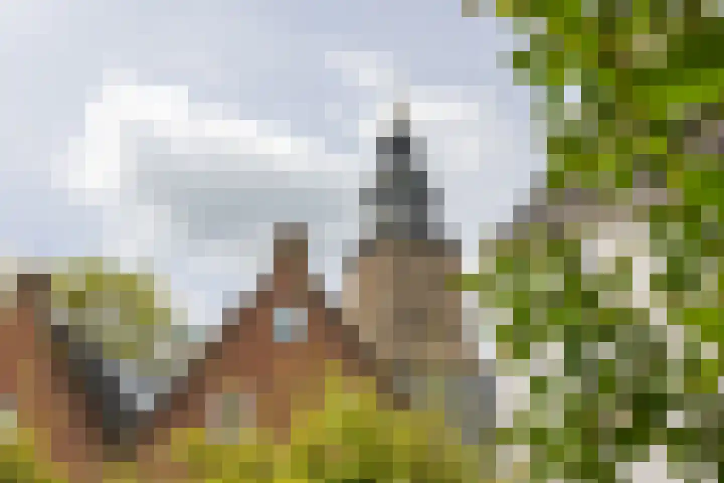 Raadhuissteeg 6 Zutphen thumbnail 52