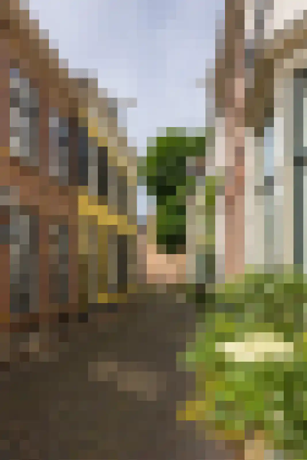Raadhuissteeg 6 Zutphen thumbnail 53