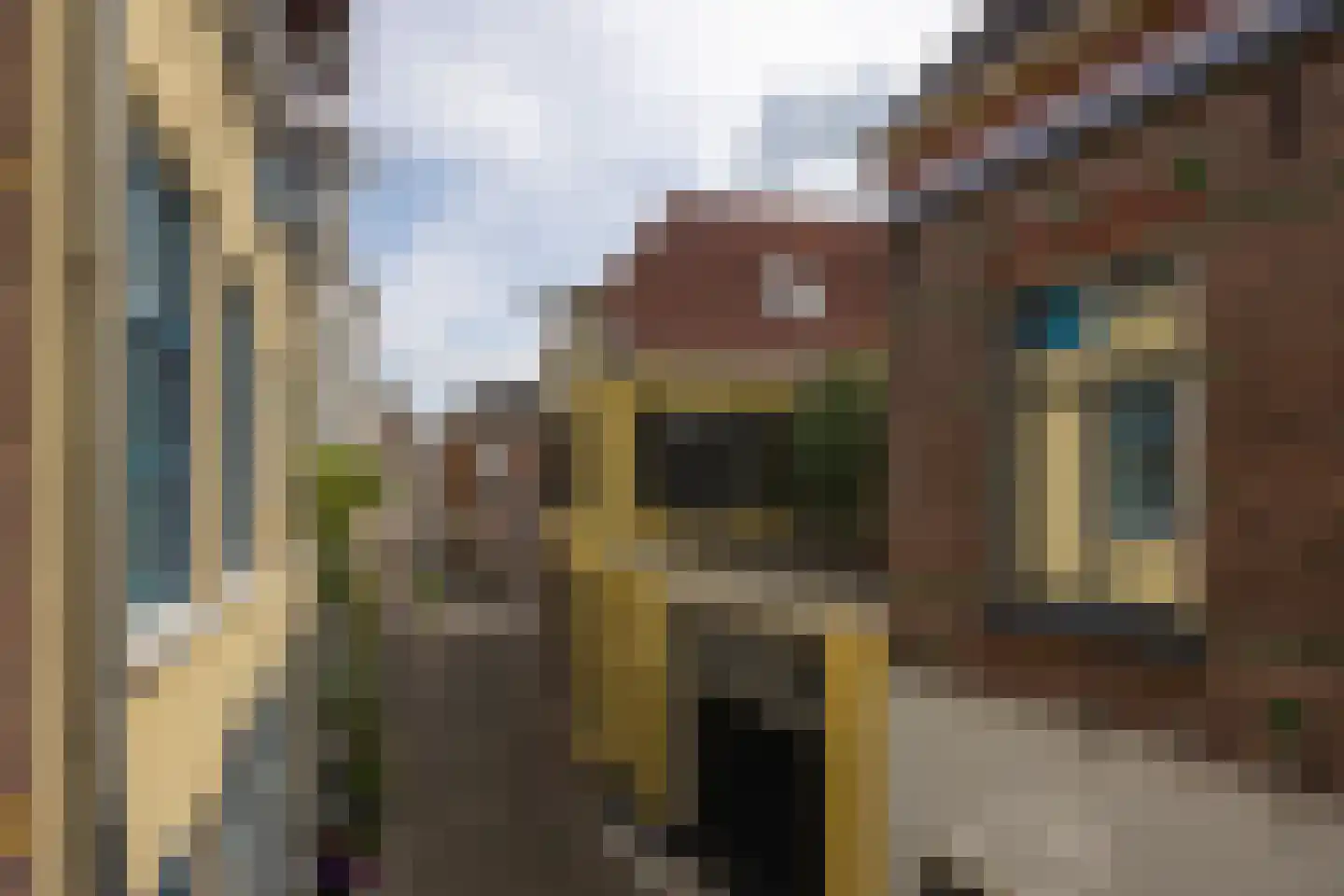Raadhuissteeg 6 Zutphen thumbnail 56