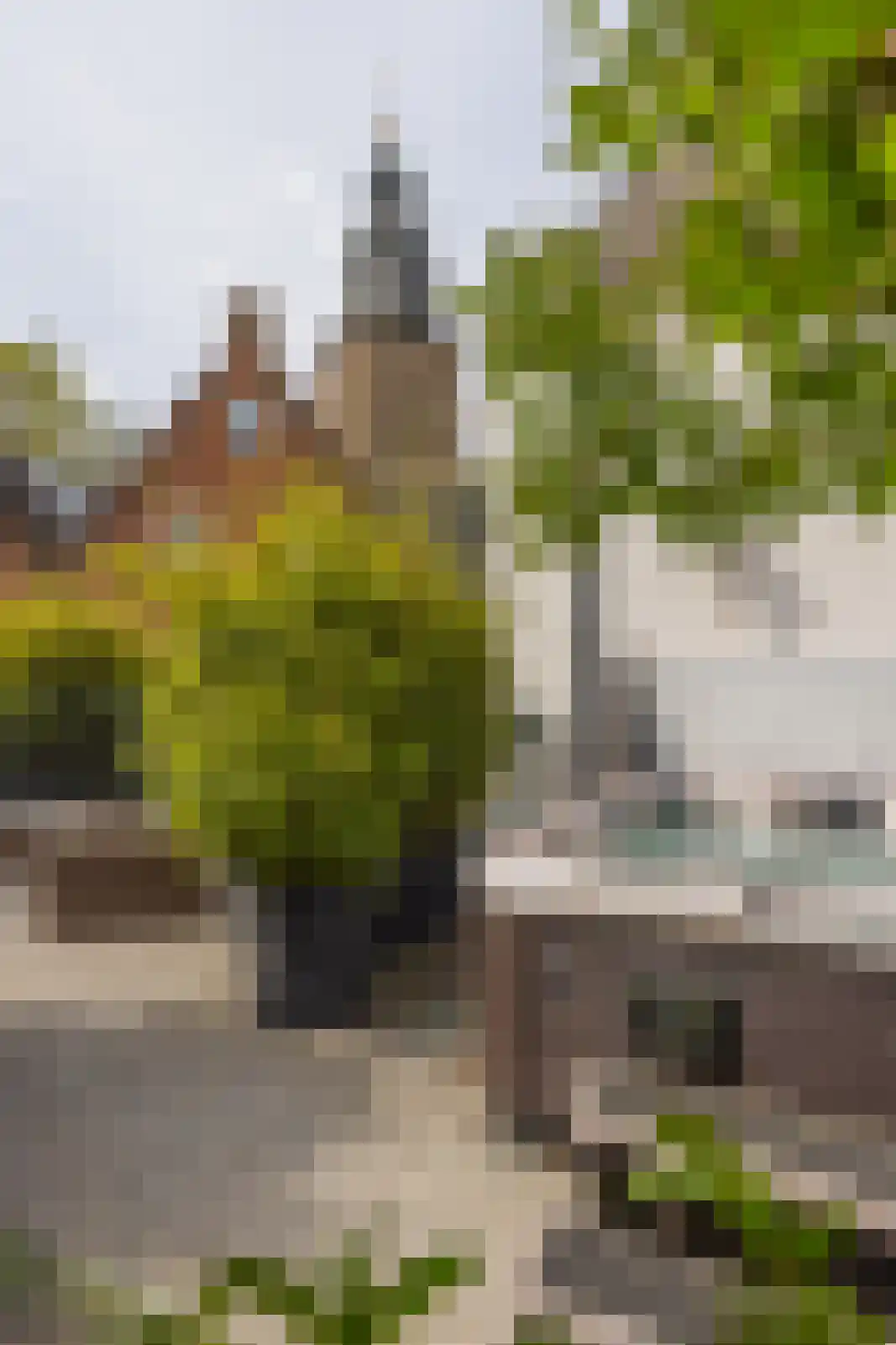 Raadhuissteeg 6 Zutphen thumbnail 60