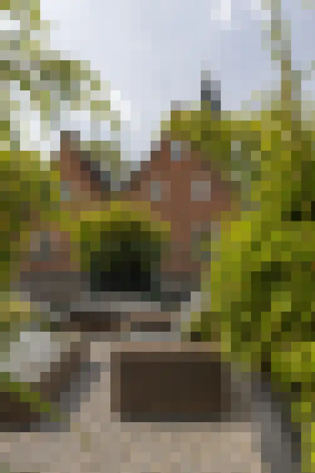 Raadhuissteeg 6 Zutphen thumbnail 61