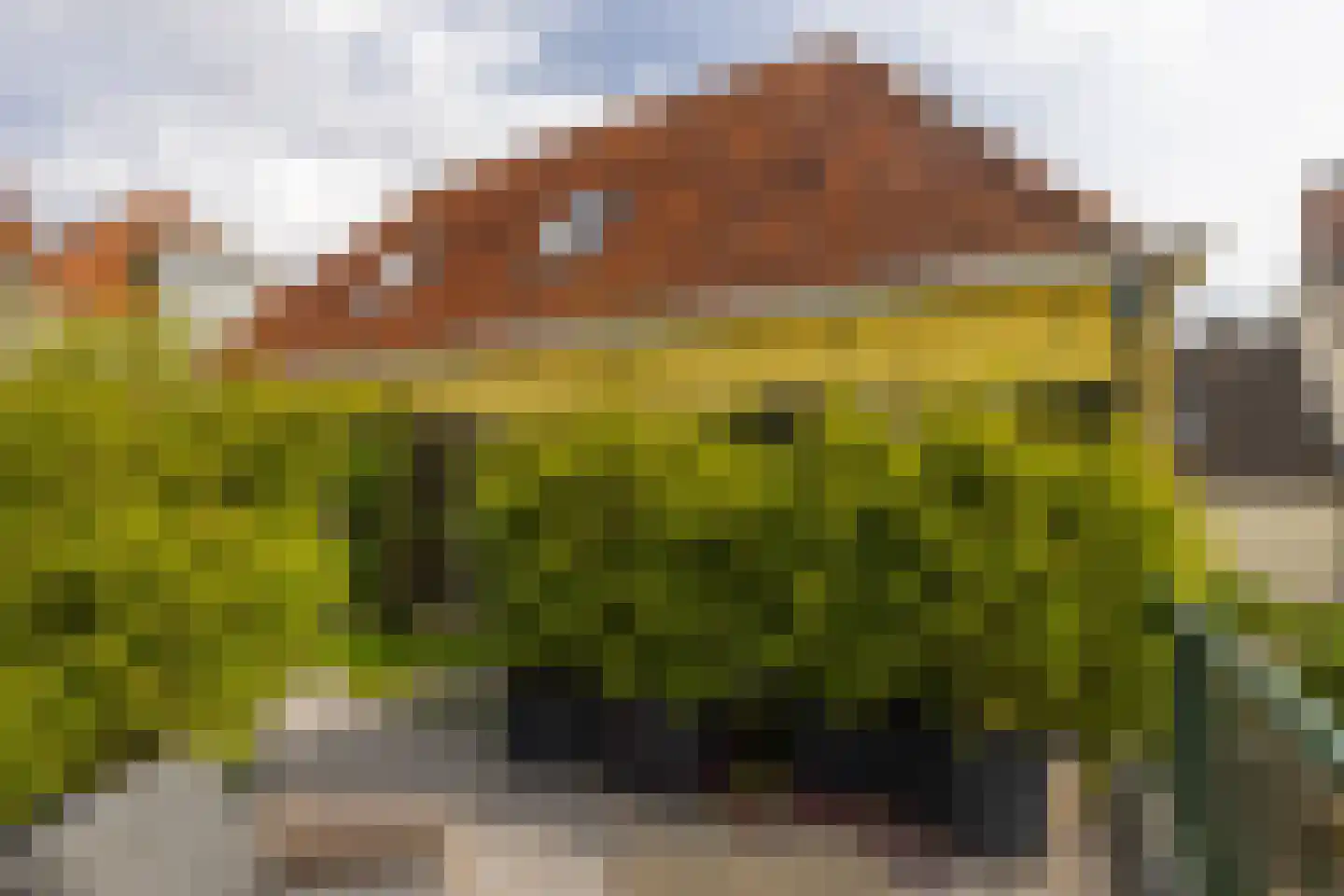 Raadhuissteeg 6 Zutphen thumbnail 62