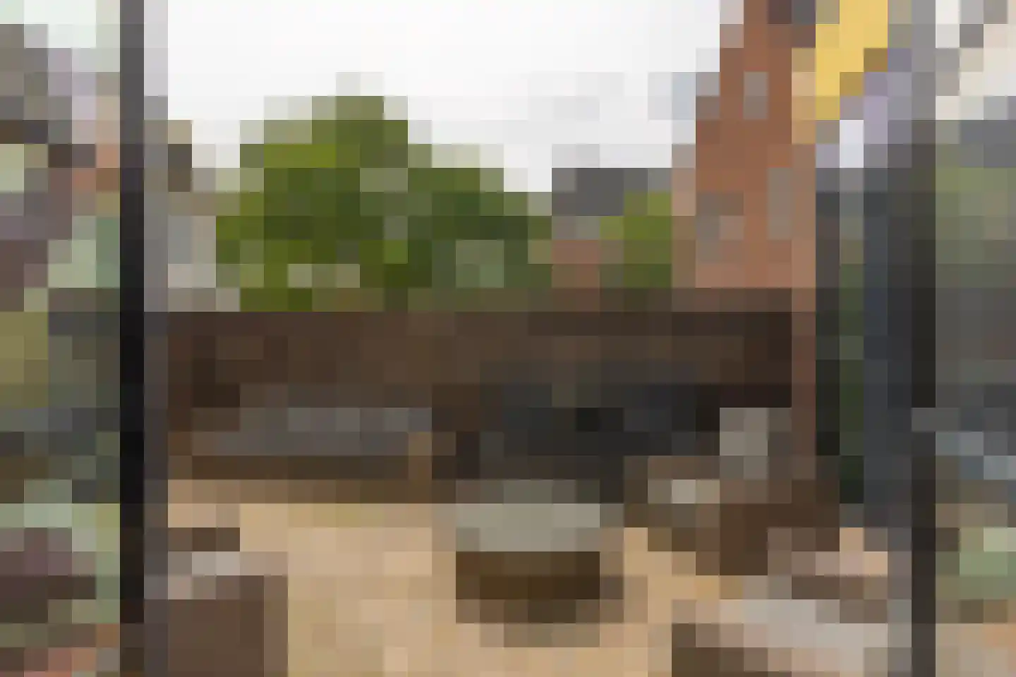 Raadhuissteeg 6 Zutphen thumbnail 65