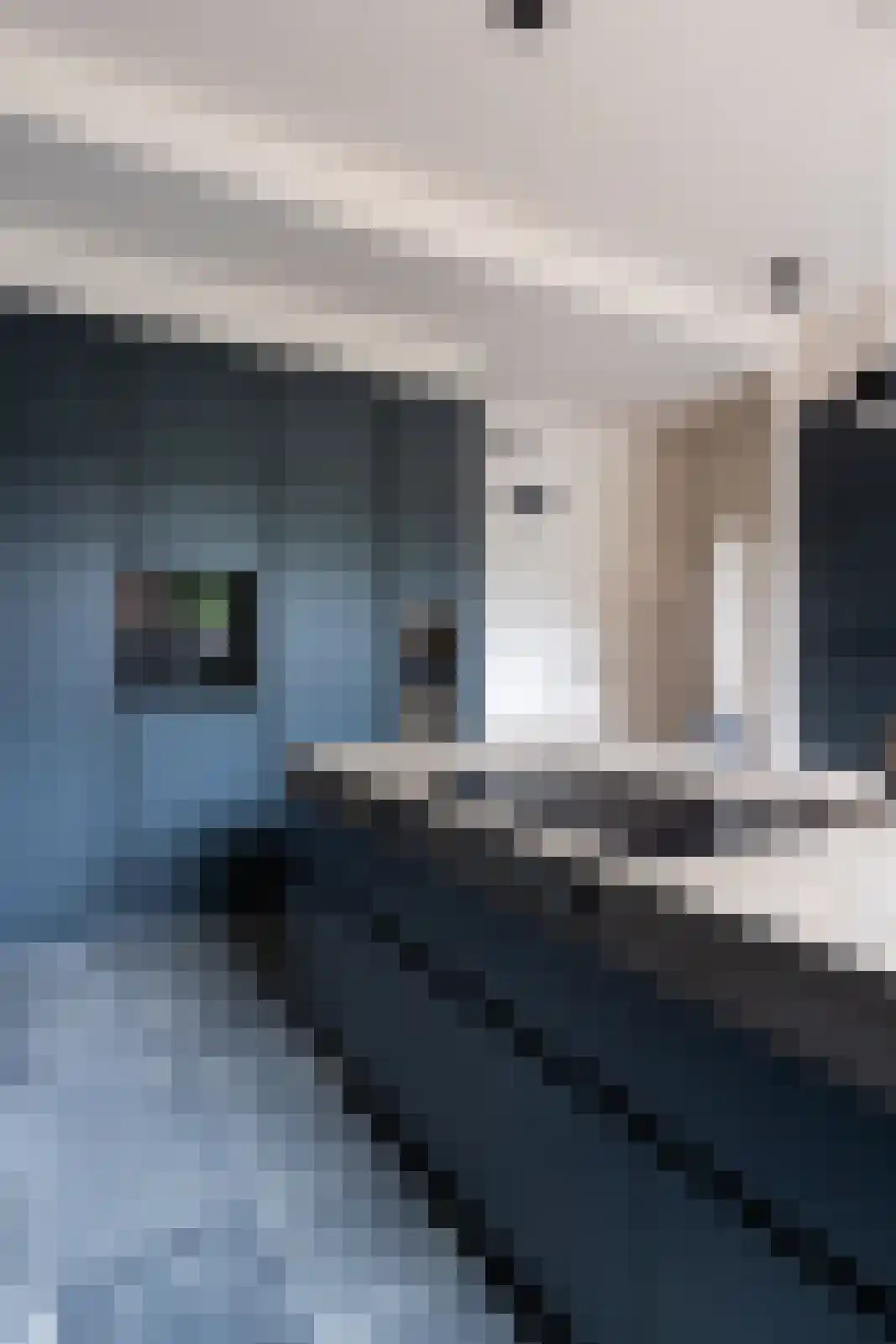Raadhuissteeg 6 Zutphen thumbnail 9