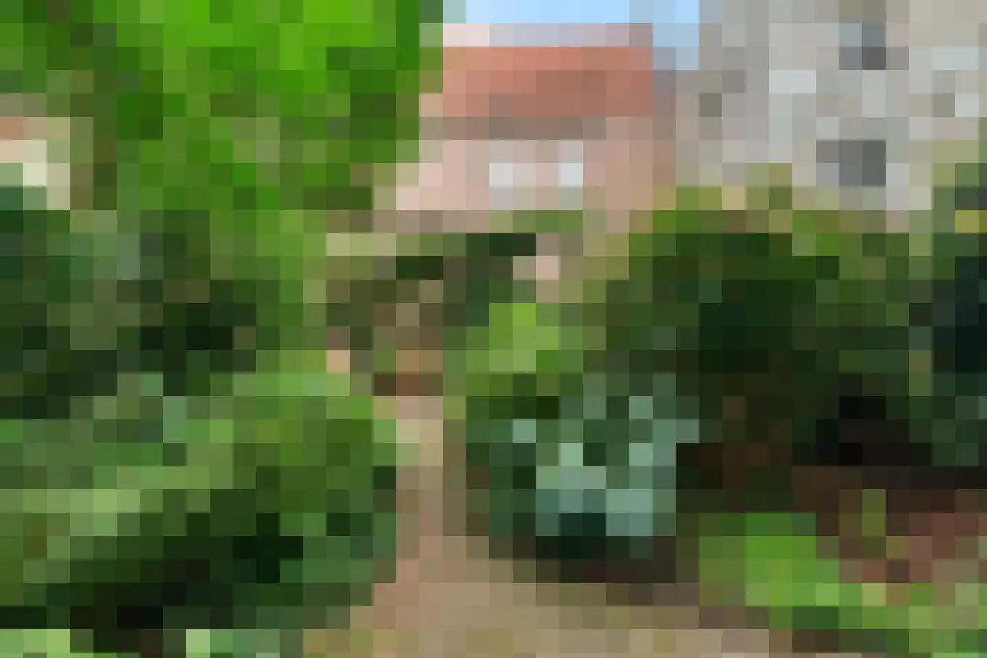 Raadhuissteeg 7 Zutphen thumbnail 16