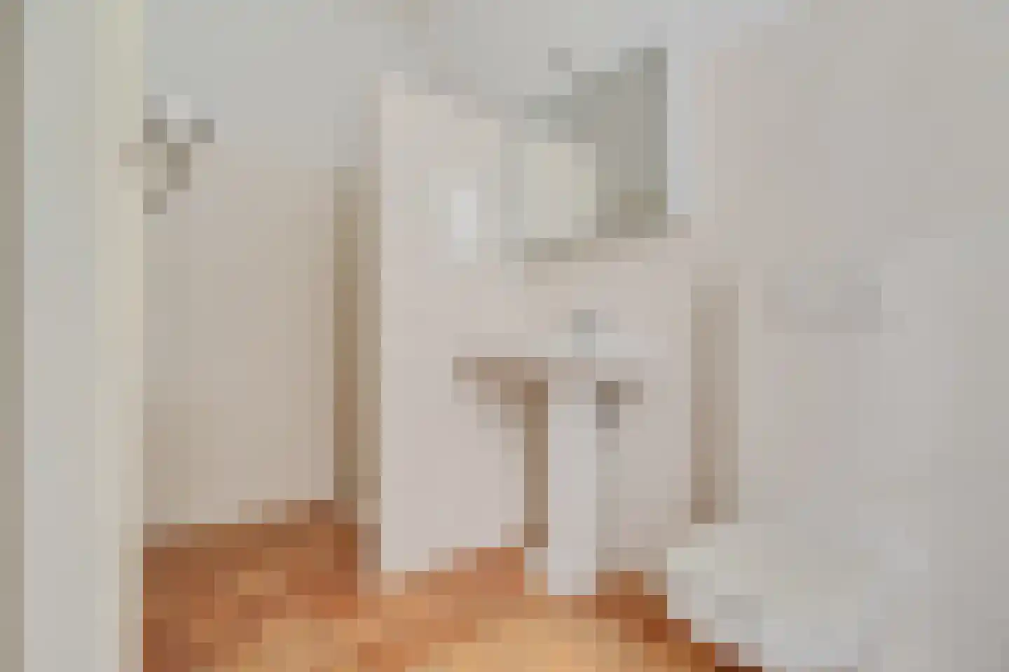 Raadhuissteeg 7 Zutphen thumbnail 24