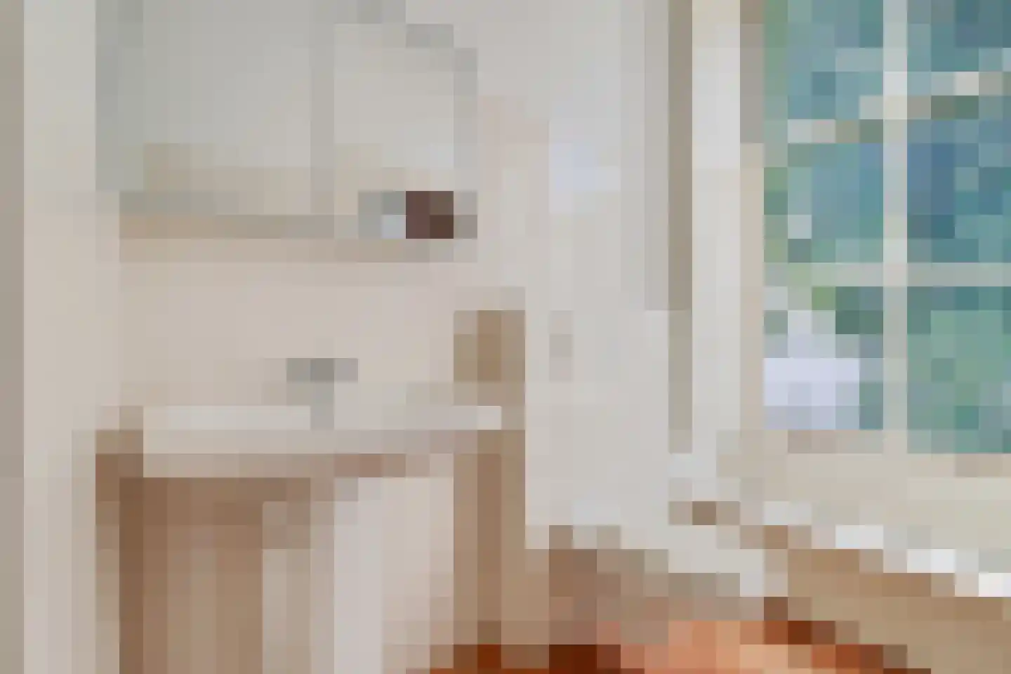 Raadhuissteeg 7 Zutphen thumbnail 26