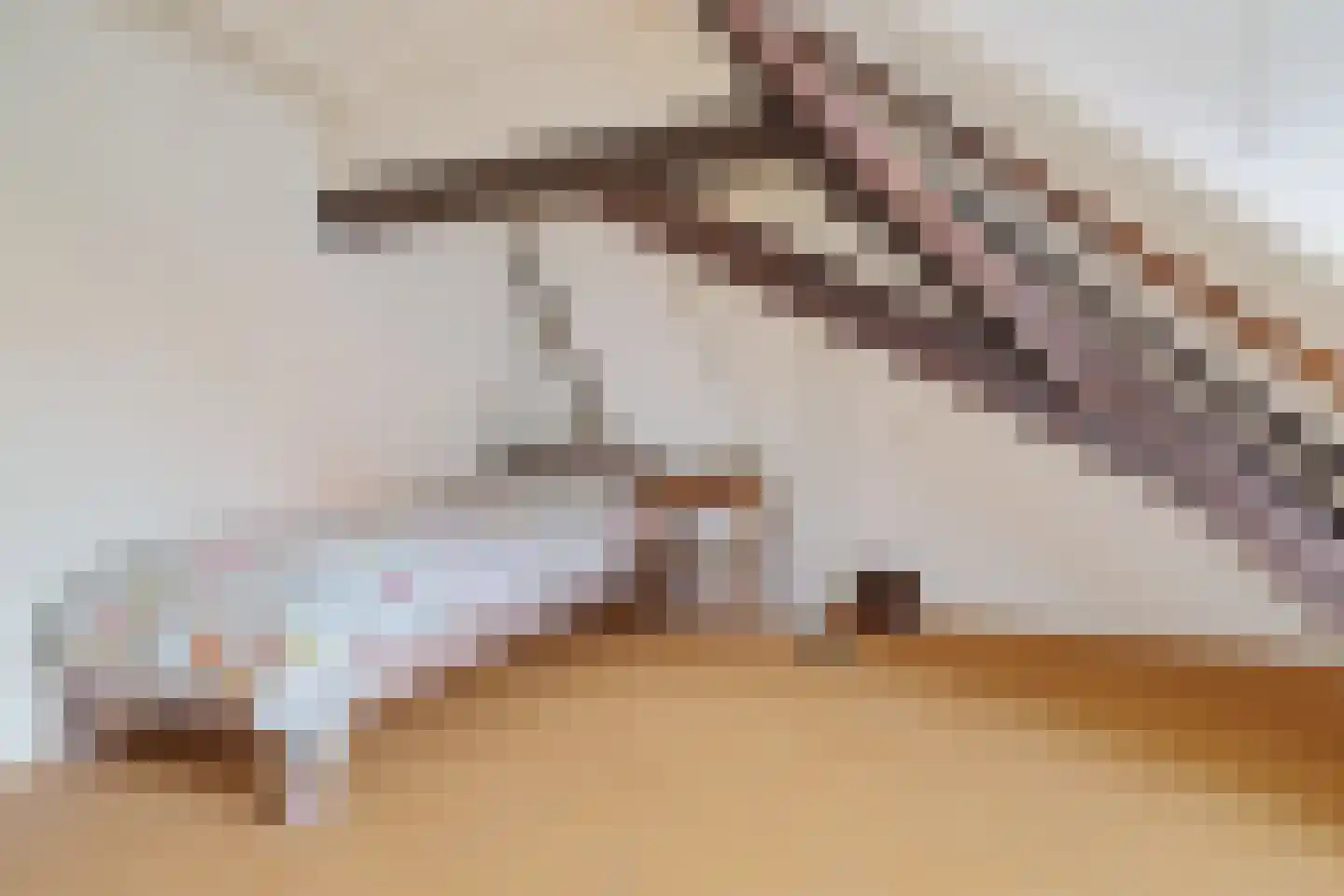 Raadhuissteeg 7 Zutphen thumbnail 31