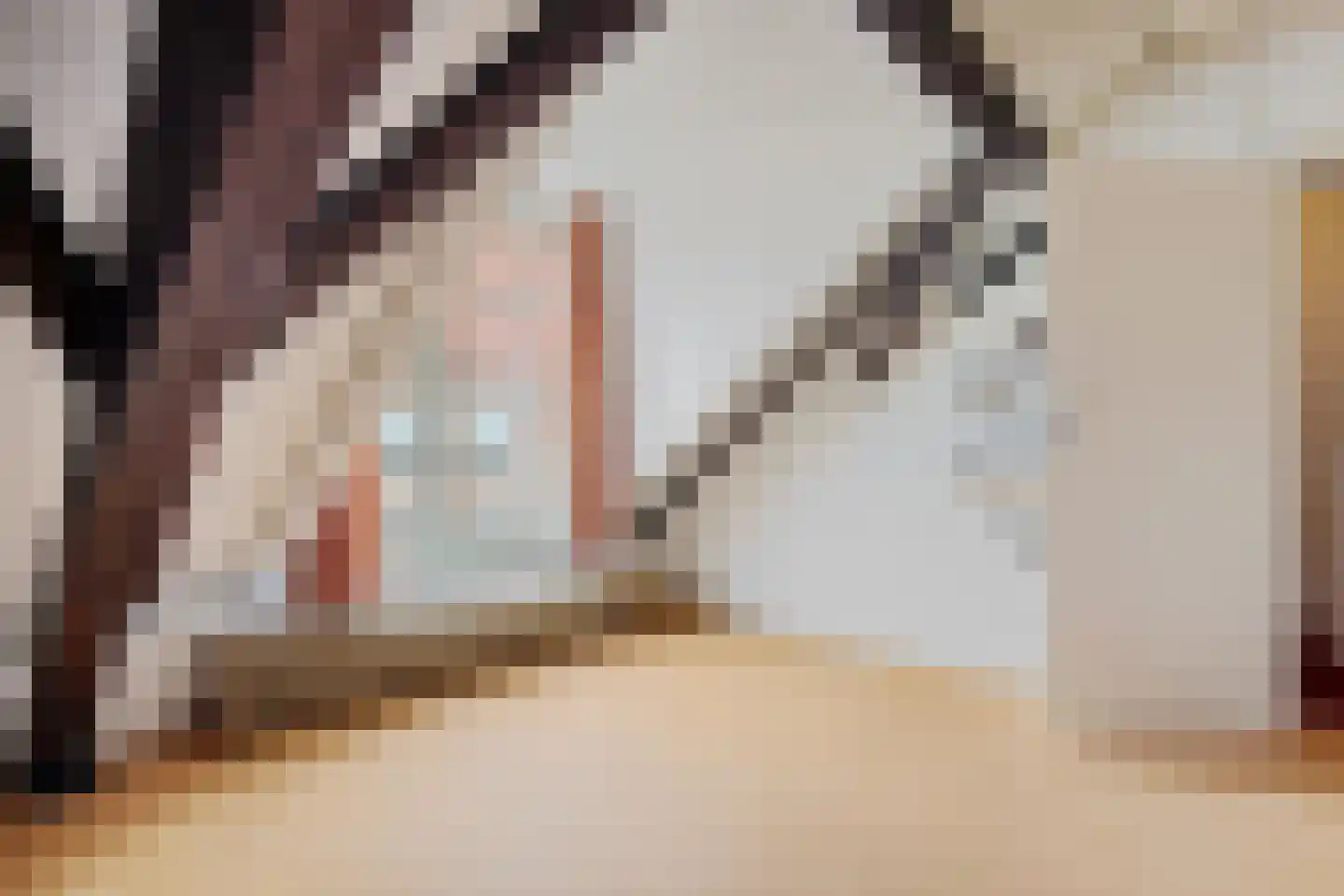 Raadhuissteeg 7 Zutphen thumbnail 32
