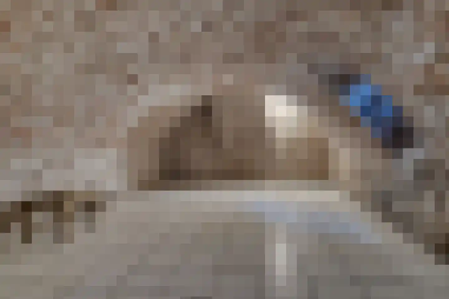 Raadhuissteeg 7 Zutphen thumbnail 33