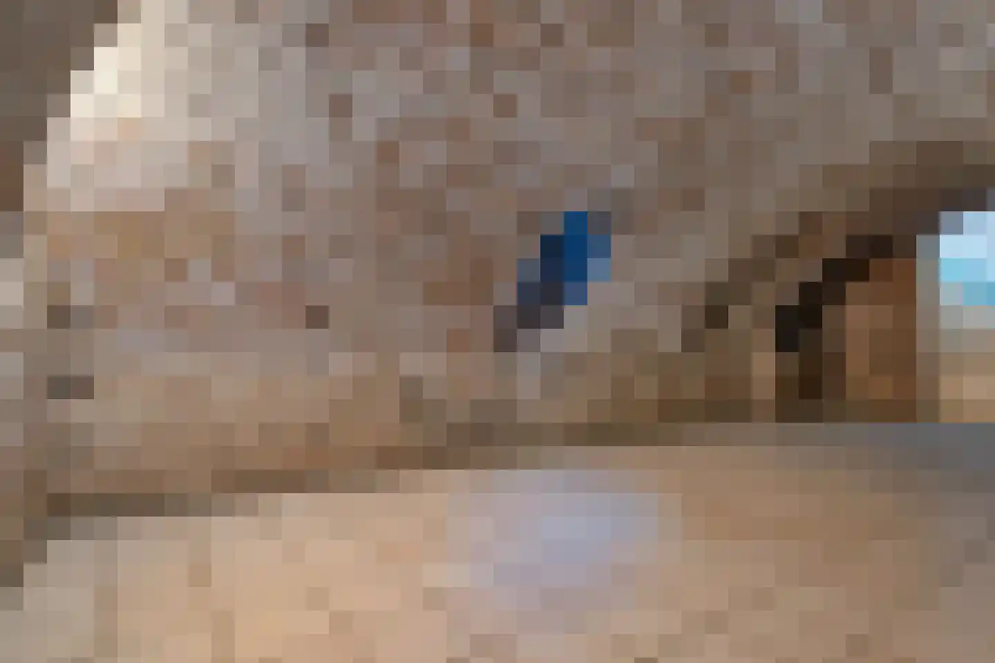 Raadhuissteeg 7 Zutphen thumbnail 34