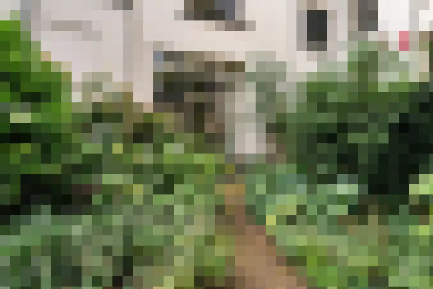 Raadhuissteeg 7 Zutphen thumbnail 35