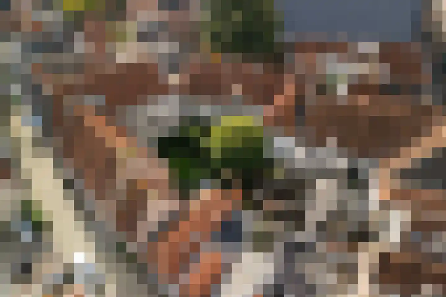 Raadhuissteeg 7 Zutphen thumbnail 39