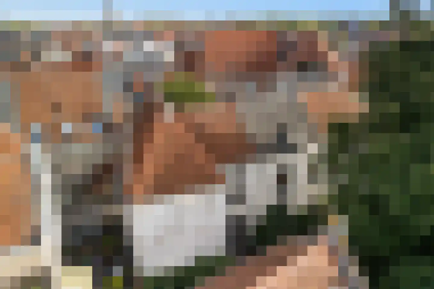 Raadhuissteeg 7 Zutphen thumbnail 40