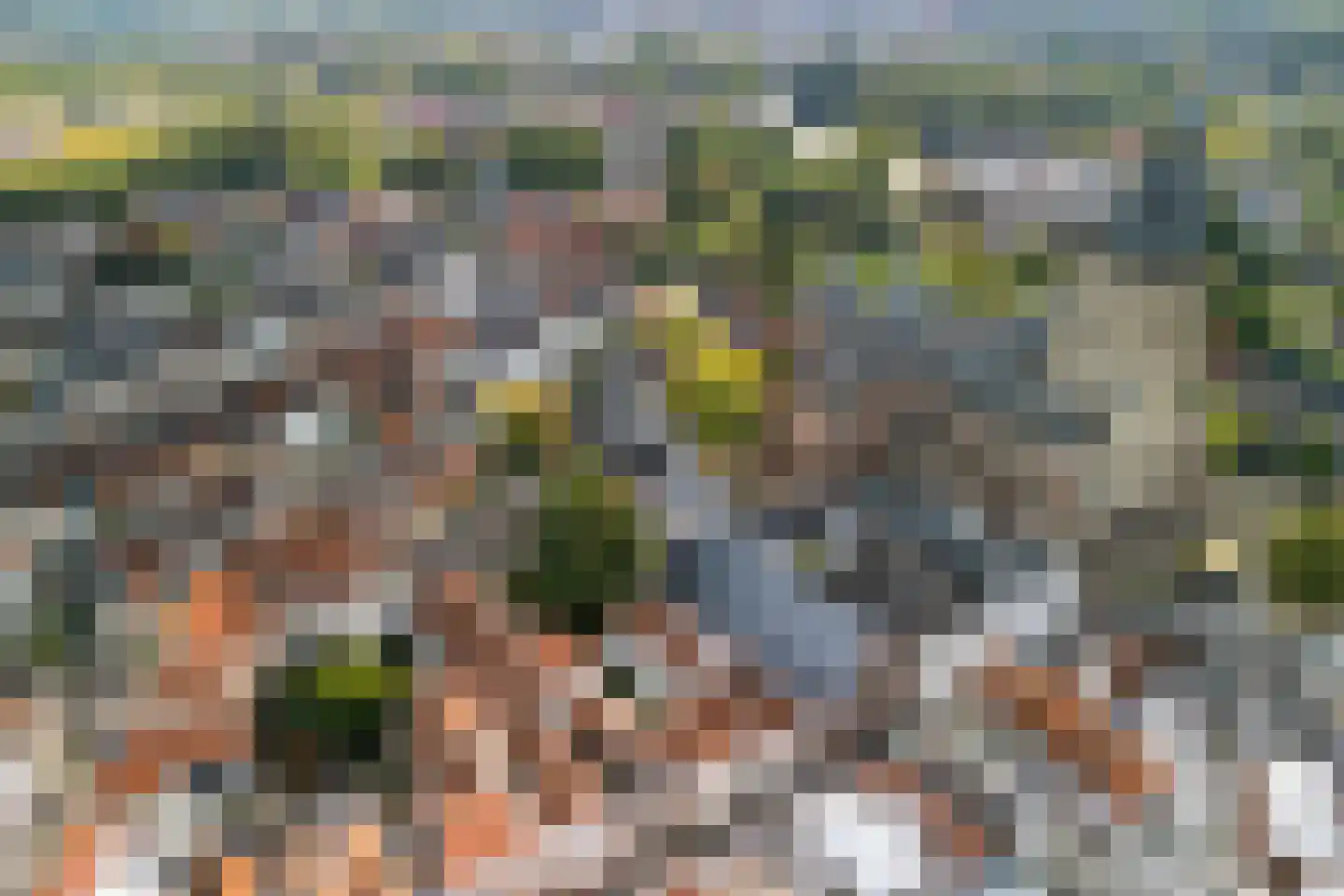 Raadhuissteeg 7 Zutphen thumbnail 44