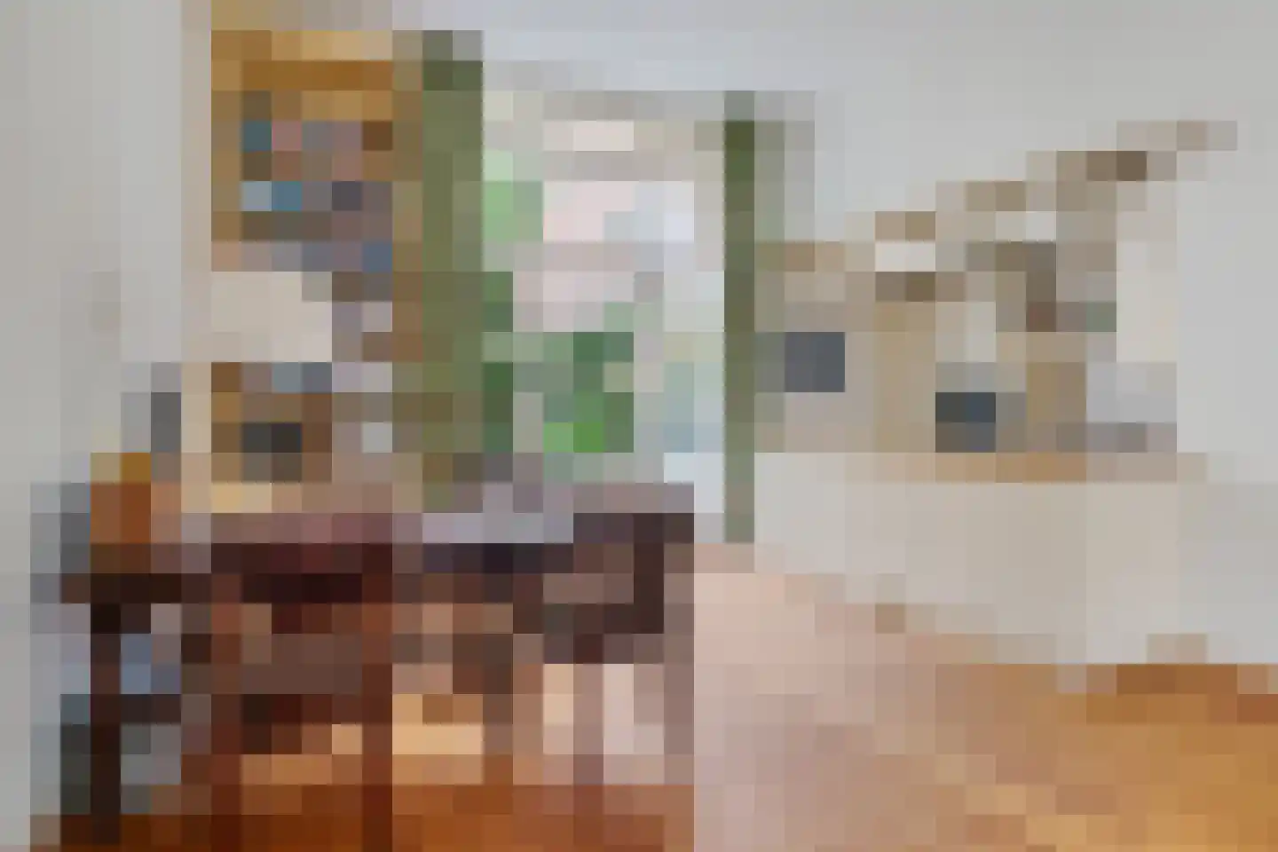 Raadhuissteeg 7 Zutphen thumbnail 9