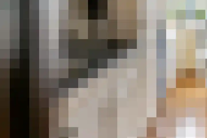 Raadhuisstraat 1 d Maurik thumbnail 27