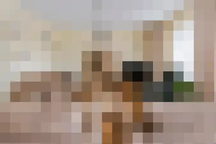 Raadhuisstraat 1 d Maurik thumbnail 32