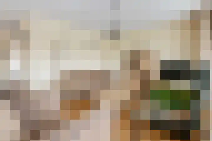 Raadhuisstraat 1 d Maurik thumbnail 35