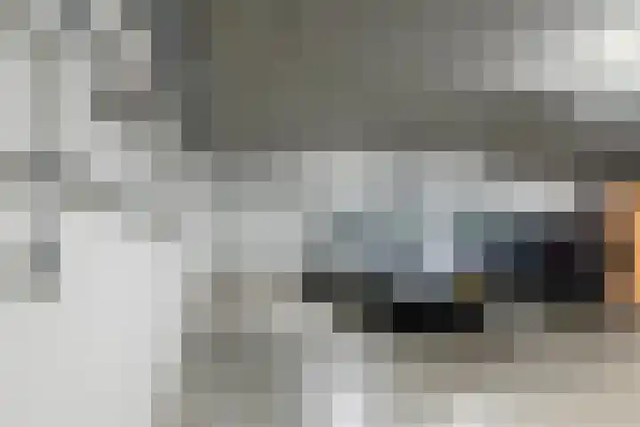 Raadhuisstraat 1 d Maurik thumbnail 39