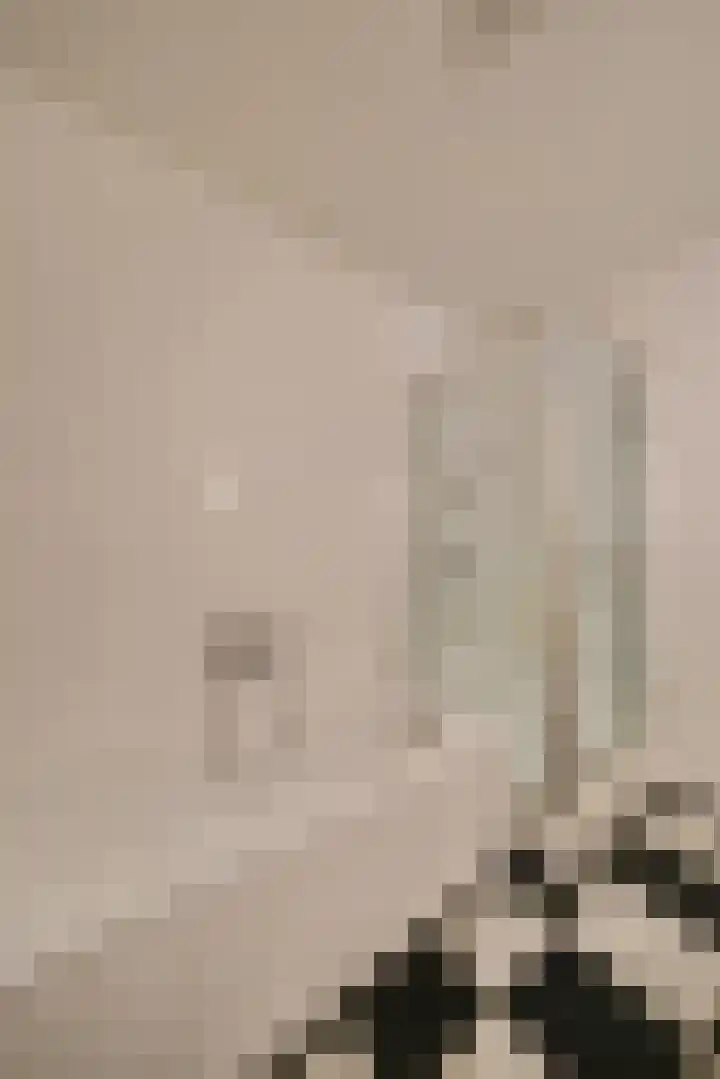 Raadhuisstraat 1 Ede thumbnail 16