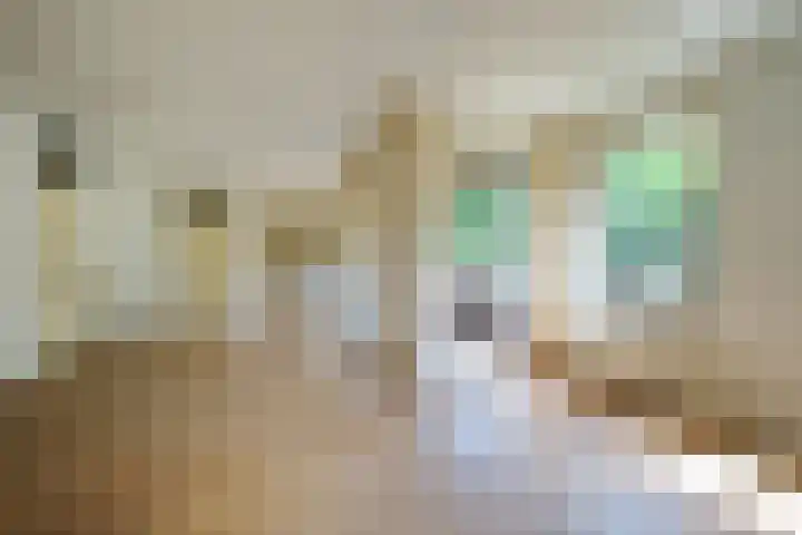 Raadhuisstraat 1 Ede thumbnail 5