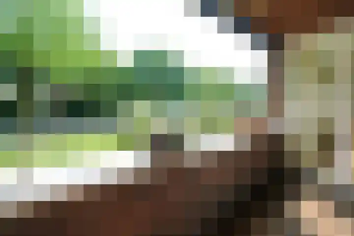 Raadhuisstraat 1 Ede thumbnail 6