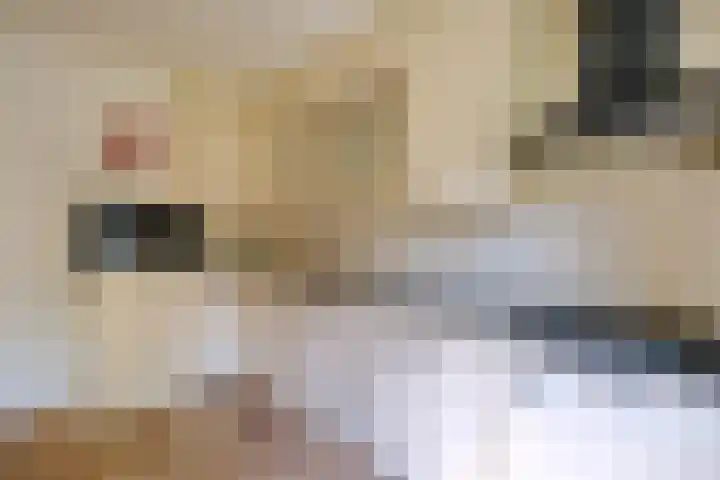 Raadhuisstraat 1 Ede thumbnail 9