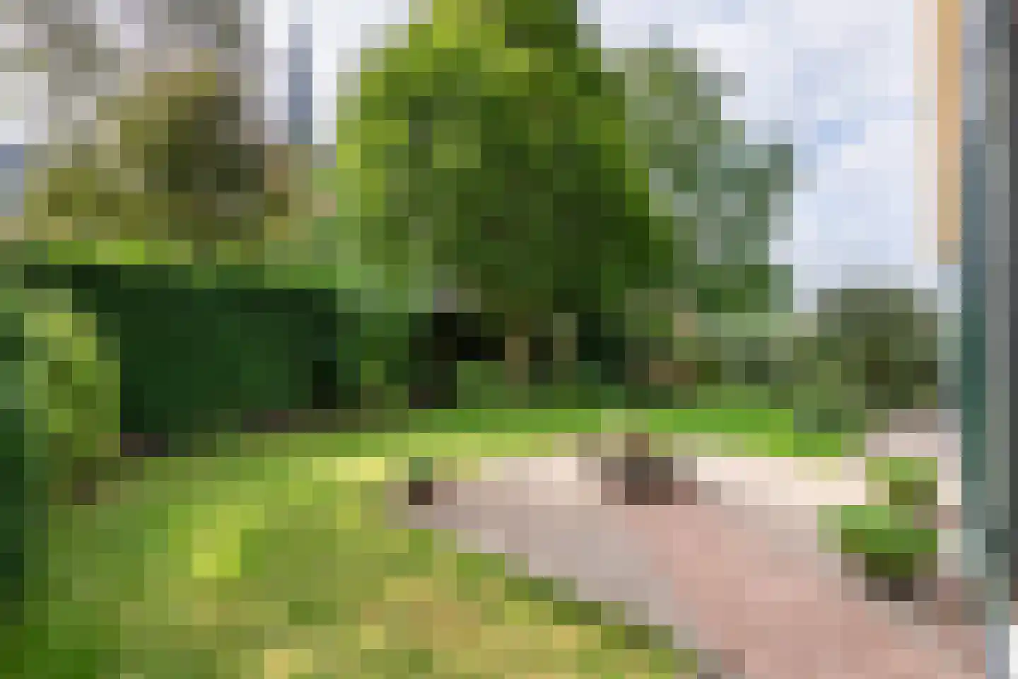 Raadhuisstraat 1 Maurik thumbnail 14