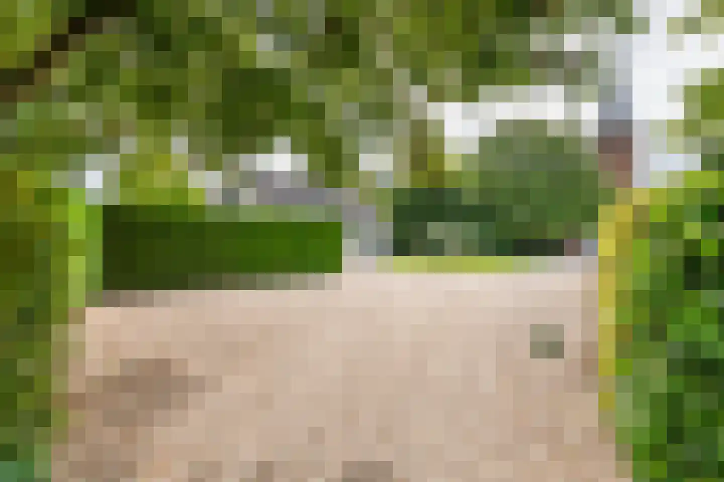 Raadhuisstraat 1 Maurik thumbnail 17