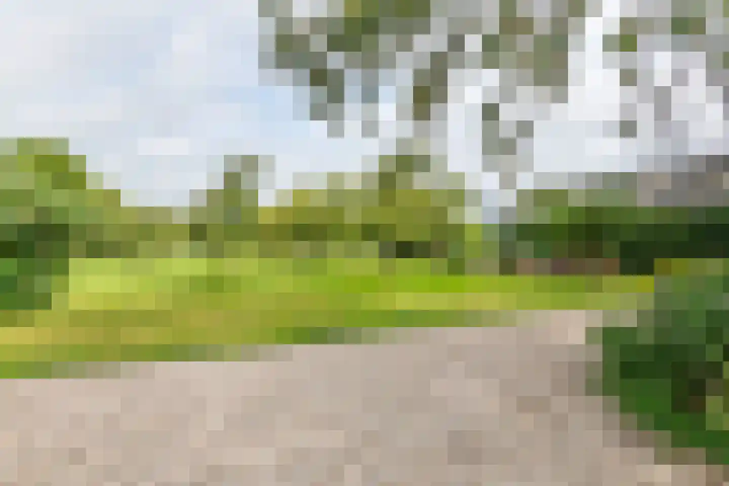Raadhuisstraat 1 Maurik thumbnail 18