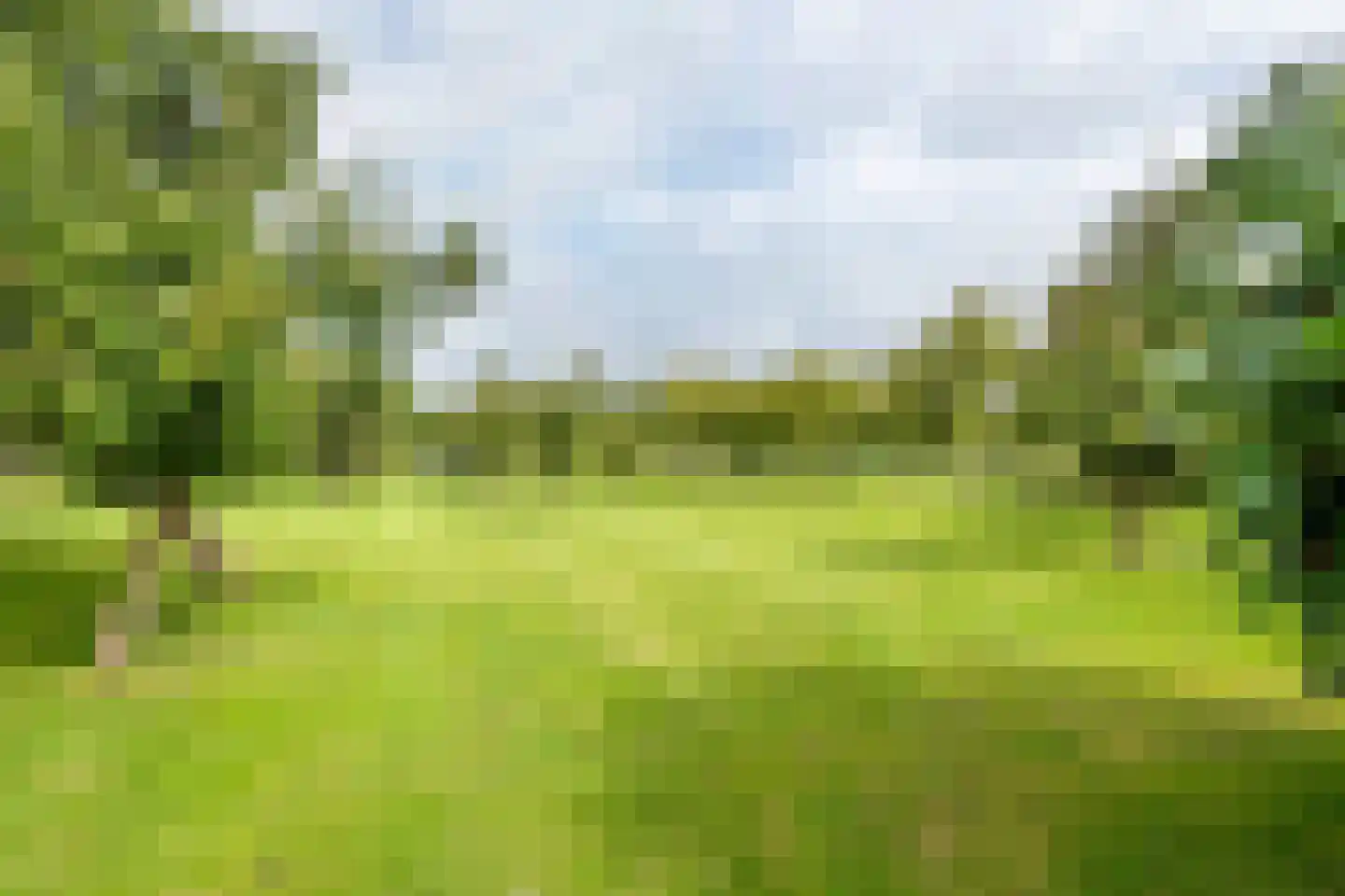 Raadhuisstraat 1 Maurik thumbnail 19