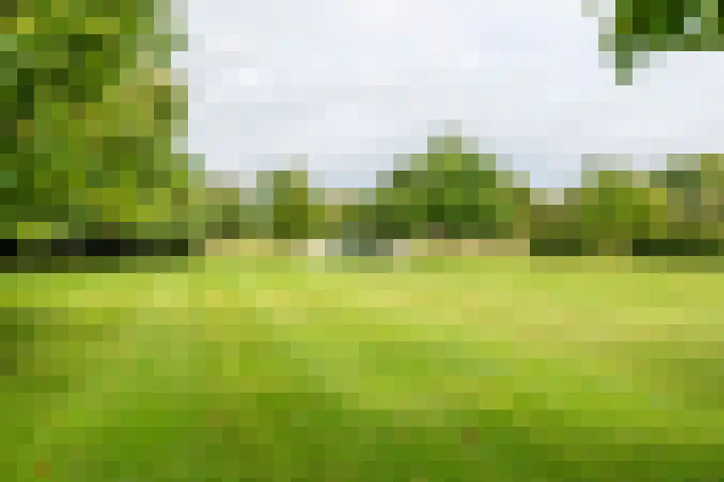Raadhuisstraat 1 Maurik thumbnail 20