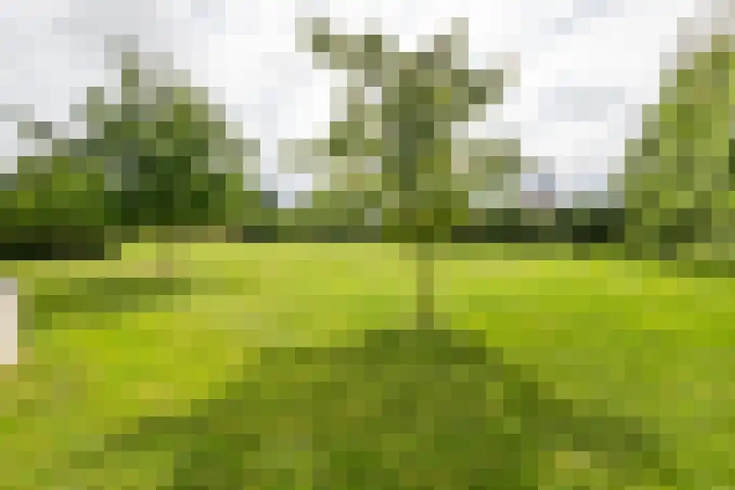Raadhuisstraat 1 Maurik thumbnail 21