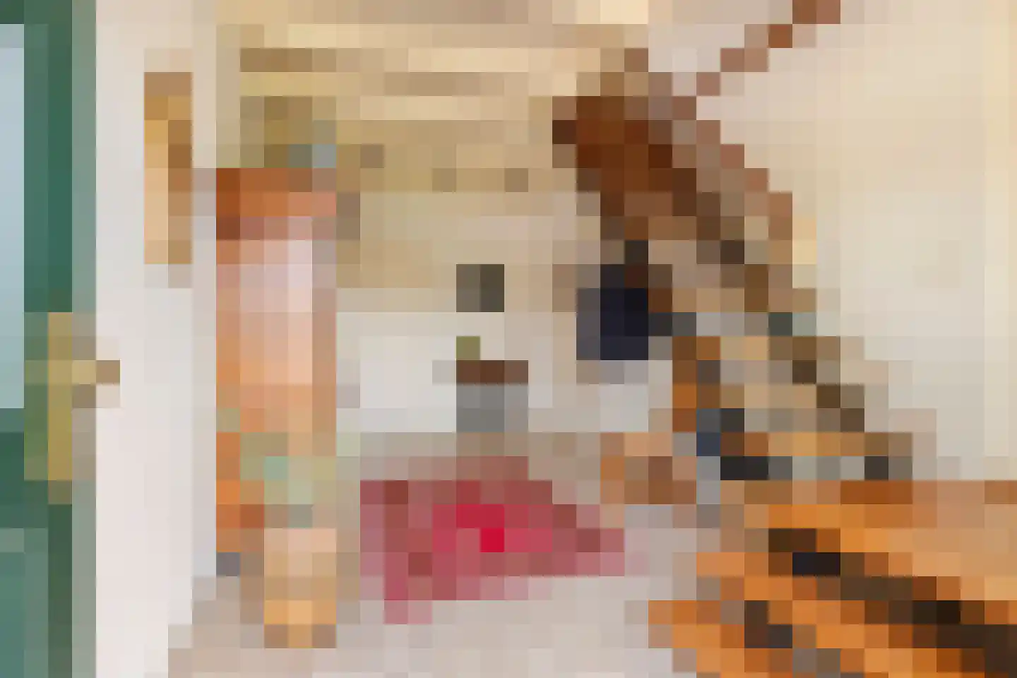 Raadhuisstraat 1 Maurik thumbnail 22