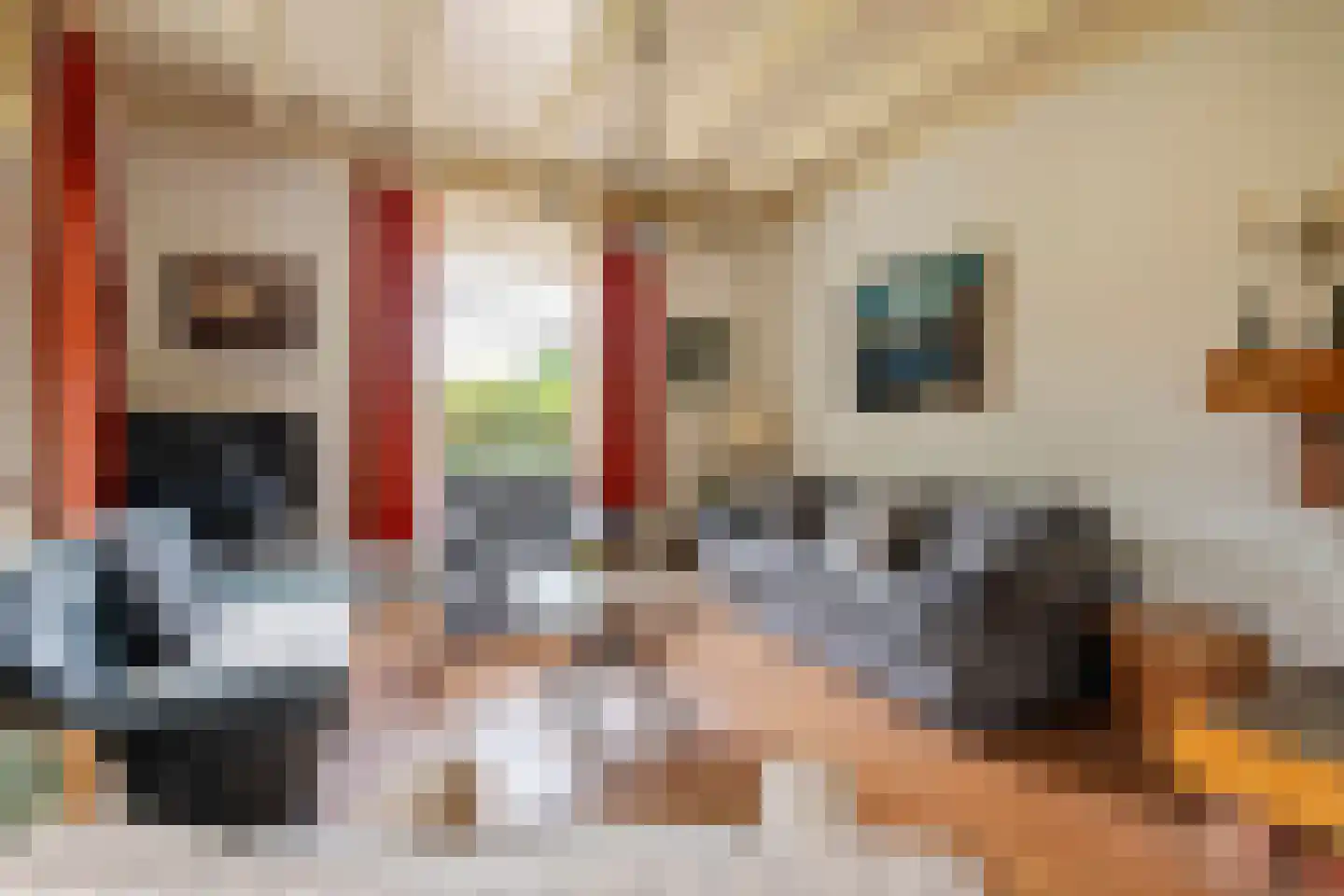 Raadhuisstraat 1 Maurik thumbnail 28
