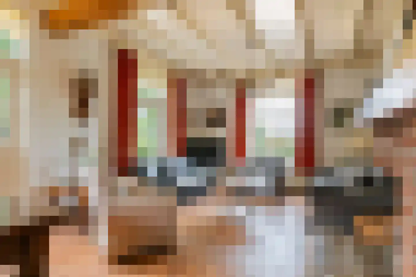 Raadhuisstraat 1 Maurik thumbnail 29